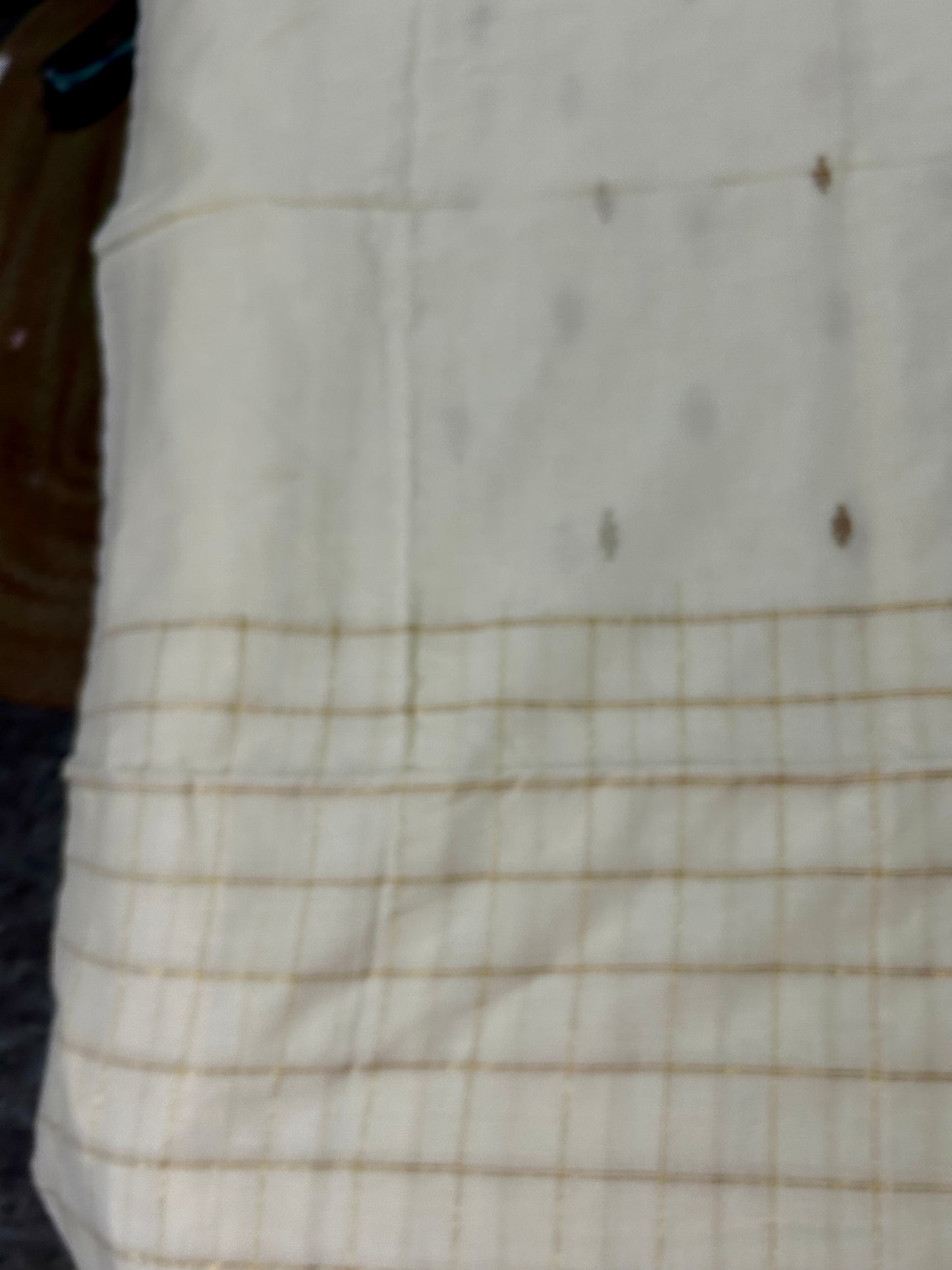 Beige Mul Cotton Sare